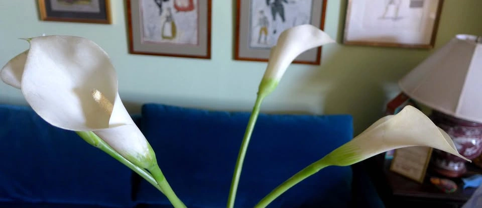 Jack in the Pulpit Green Blue Murano Style Tall Vase with Lilies - photo 2