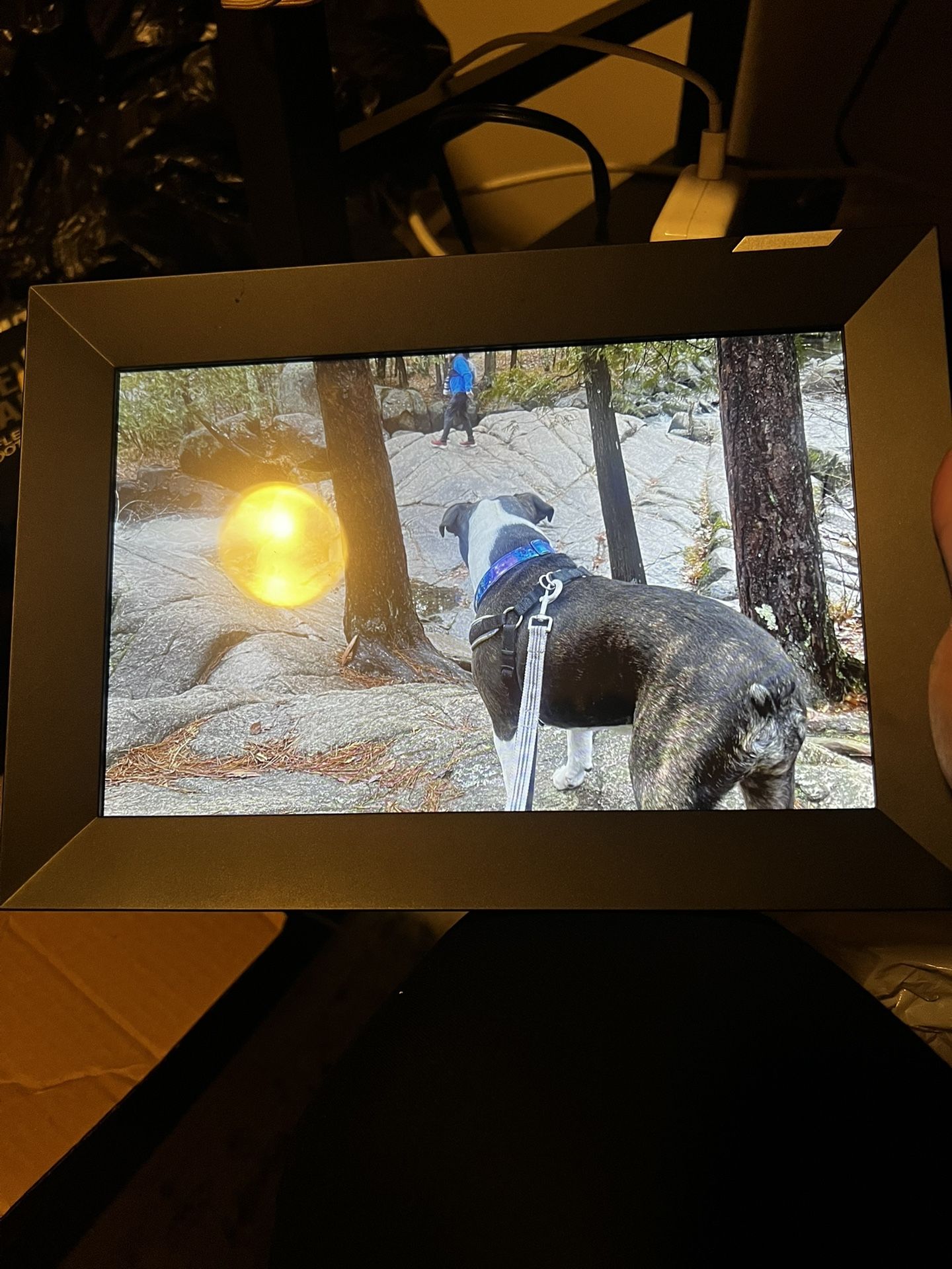 Nixplay Digital Photo Frame