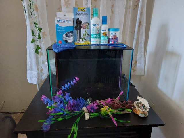 Top Fin® Custom Colorflow™ Aquarium with 7 LEDs