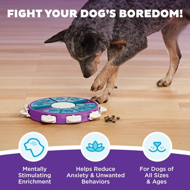 Outward Hound Dog Twister Treat Puzzle Toy - photo 2