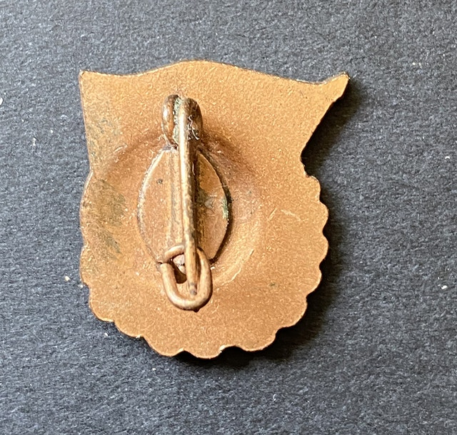 Vintage DDR East Germany FDJ Lapel Pin K. Marx - photo 2