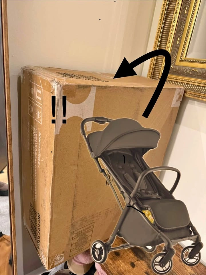BNIB Travel Stroller