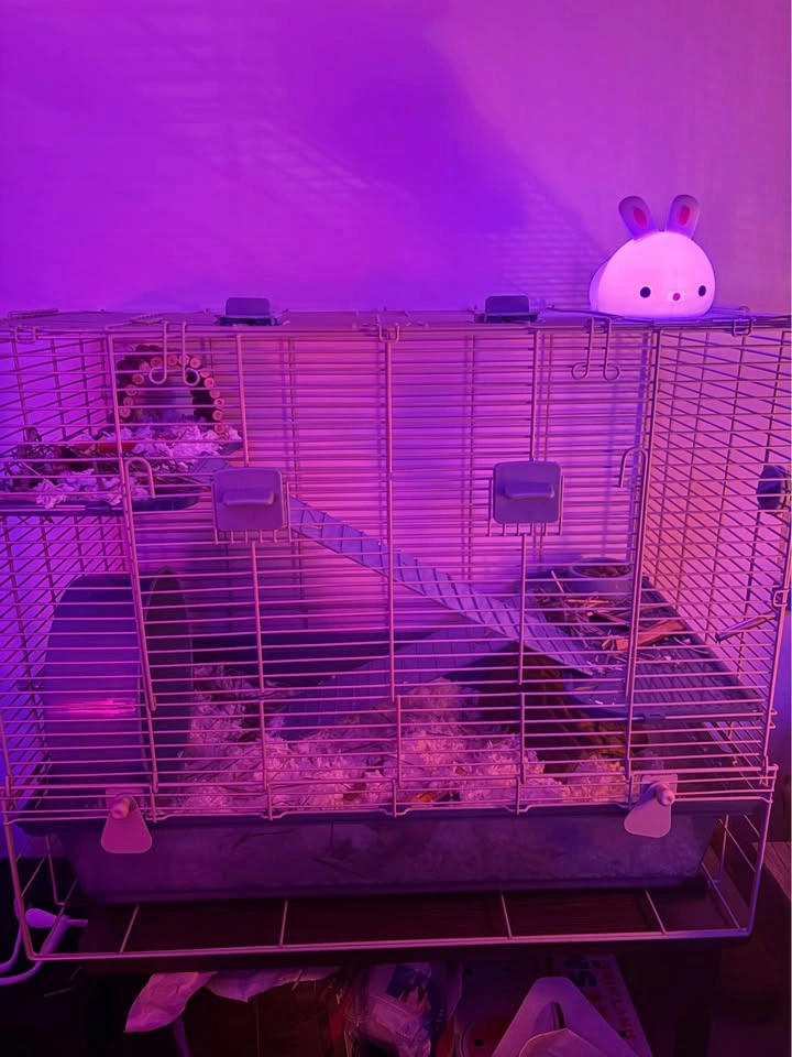 Wired Hamster Cage - photo 2
