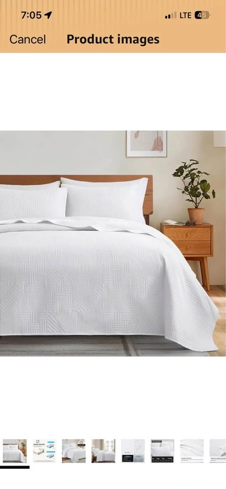 White Quilt Queen Coverlet - photo 4