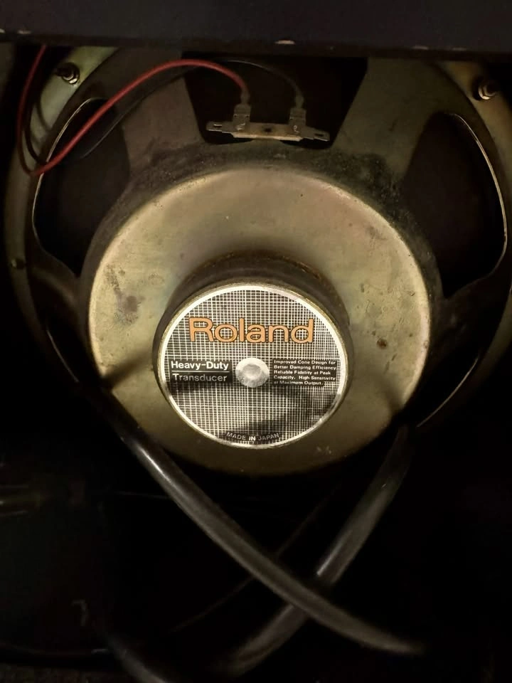 Roland Spirit Bass 15 Amp Practice Amplifier - photo 4