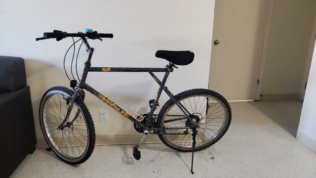 VINTAGE GT Timberline Rare Paint
