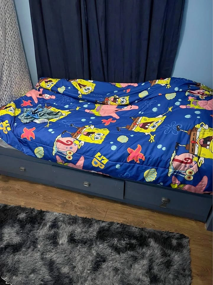 Toddler Twin bed with book shelf