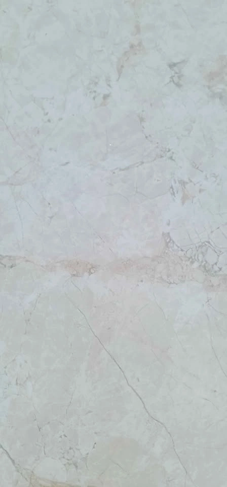 Happy House Italian Porcelain Tile 24"x24" + Mapei Grout – New - photo 2