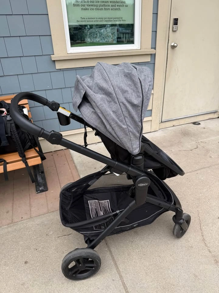 Graco Stroller - Modes Nest Click & Connect - photo 3
