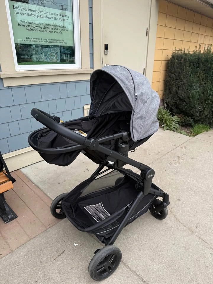 Graco Stroller - Modes Nest Click & Connect - photo 4