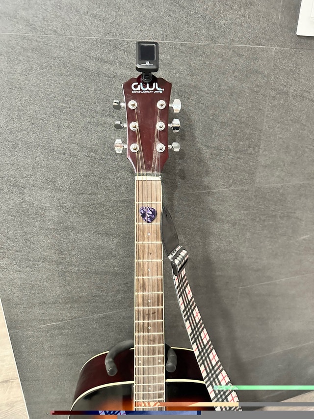 Beginner acoustic guitar with book - photo 3