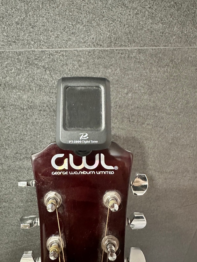 Beginner acoustic guitar with book - photo 4