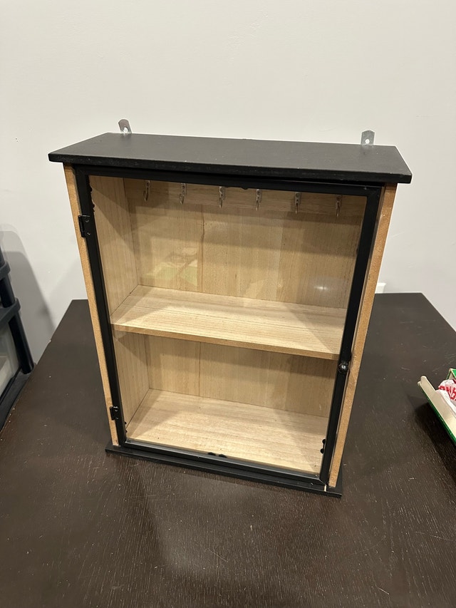 Hanging Wall Shelf with Glass Covering and Magnetic Door