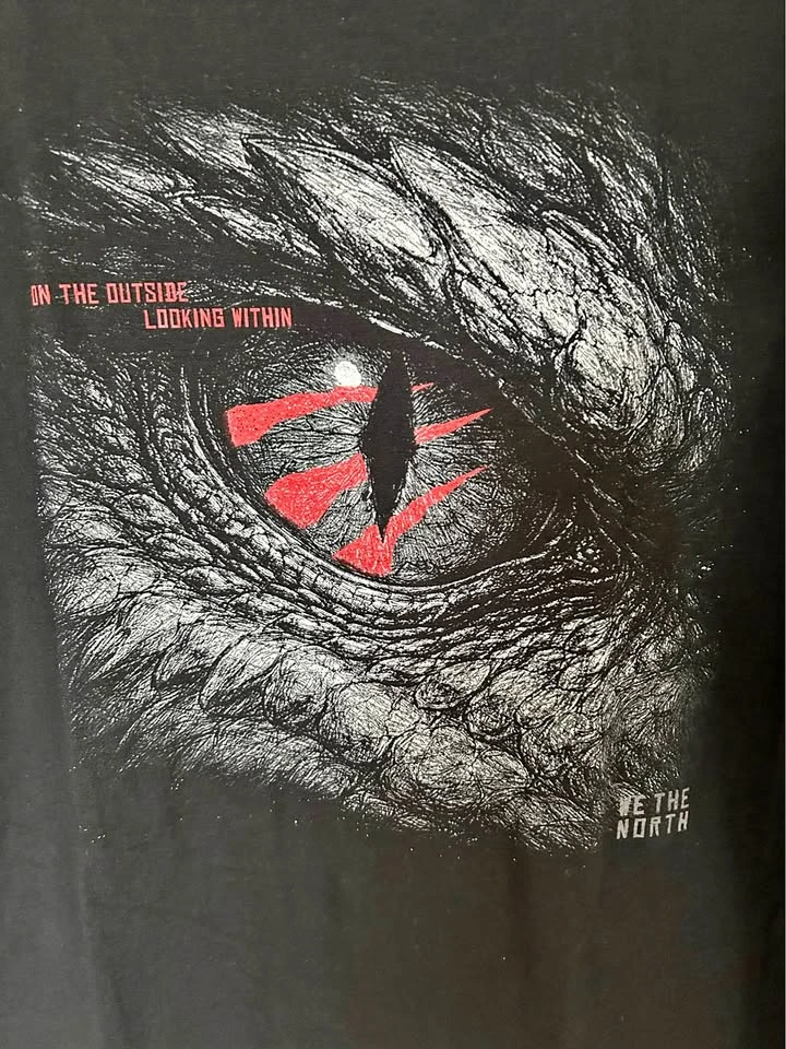 2026 Raptors Game 3 Playoffs T-shirt