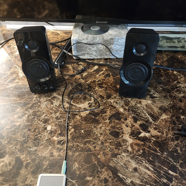 Black Web Computer Speakers 3.5mm Jack Plug