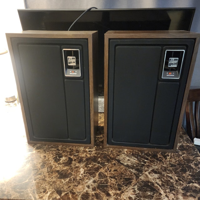 Vintage 1970s Zenith Allegro 2000 Loudspeakers - Rare