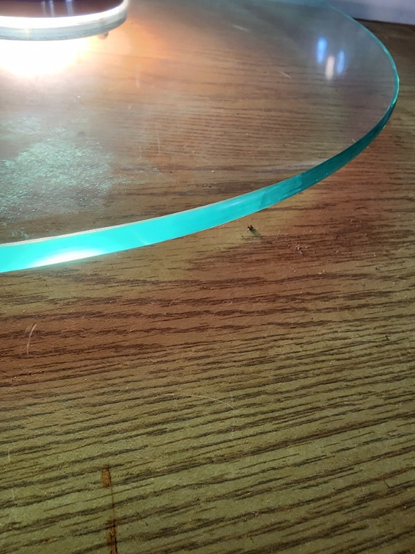 Hanging LED Light Fixture - Glass Disc - photo 2