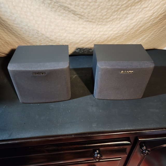 Sony 8 Ohm Bookshelf Speakers SS-SR100