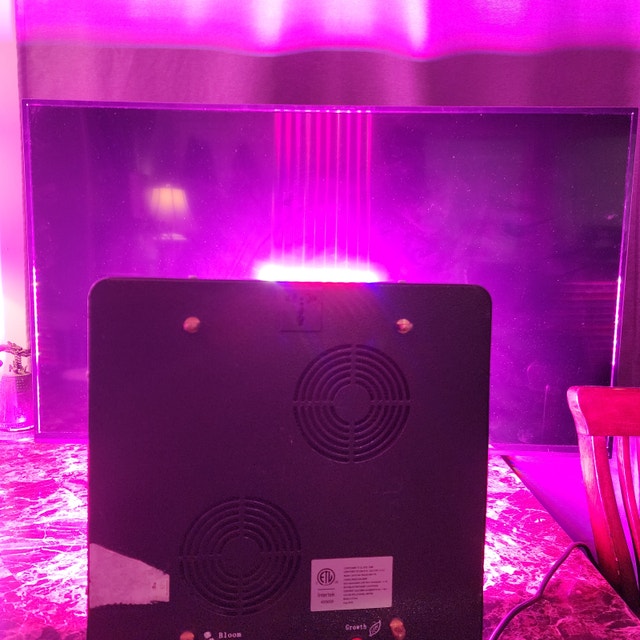 MARS HYDRO LED Grow Light 340W Purple Bloom & Growth - photo 2