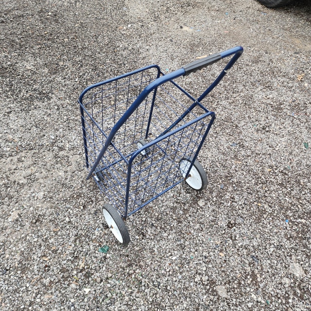 Blue 4-Wheel Rolling Shopping Cart