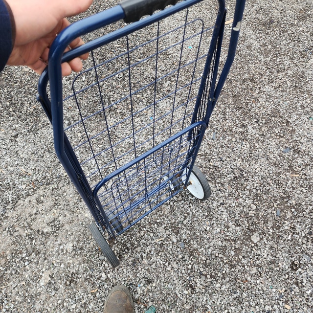 Blue 4-Wheel Rolling Shopping Cart - photo 4