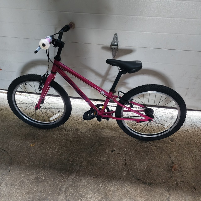 20'' Wheel Garneru F20 Road Bike - Purple