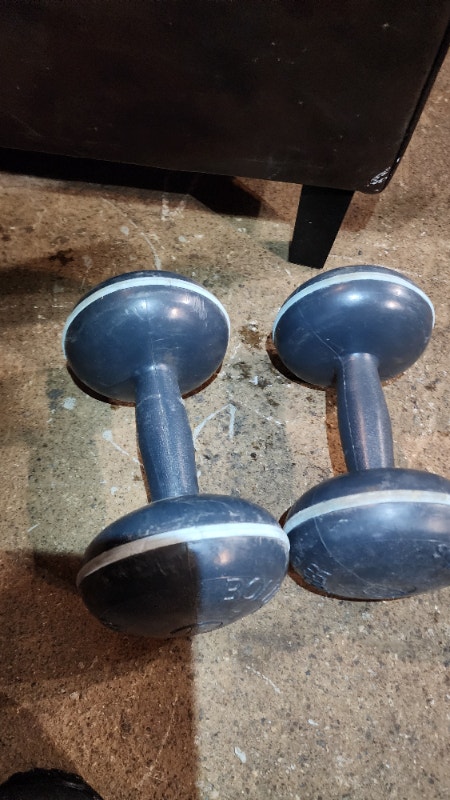 2 x 8lbs, 2 x 10lbs Weights - Blue & White - photo 4