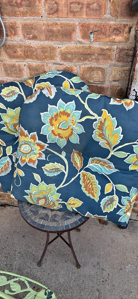 2 Patio Cushions