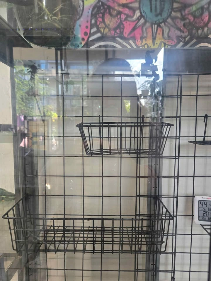 Fabrikor Glass Ikea Cabinet - photo 4