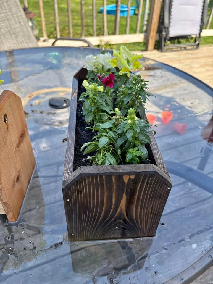 Small Cedar Table Planters
