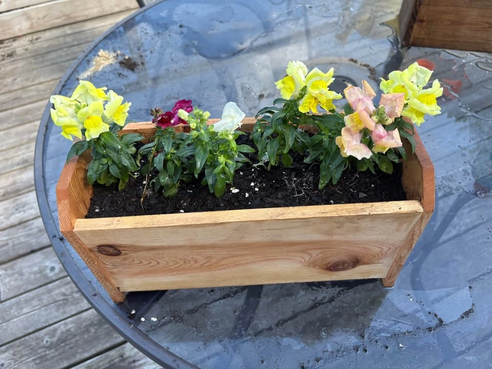 Small Cedar Table Planters - photo 5