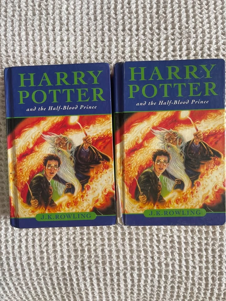 1st Edition Harry Potter Books - Raincoast Canadian HB - photo 2
