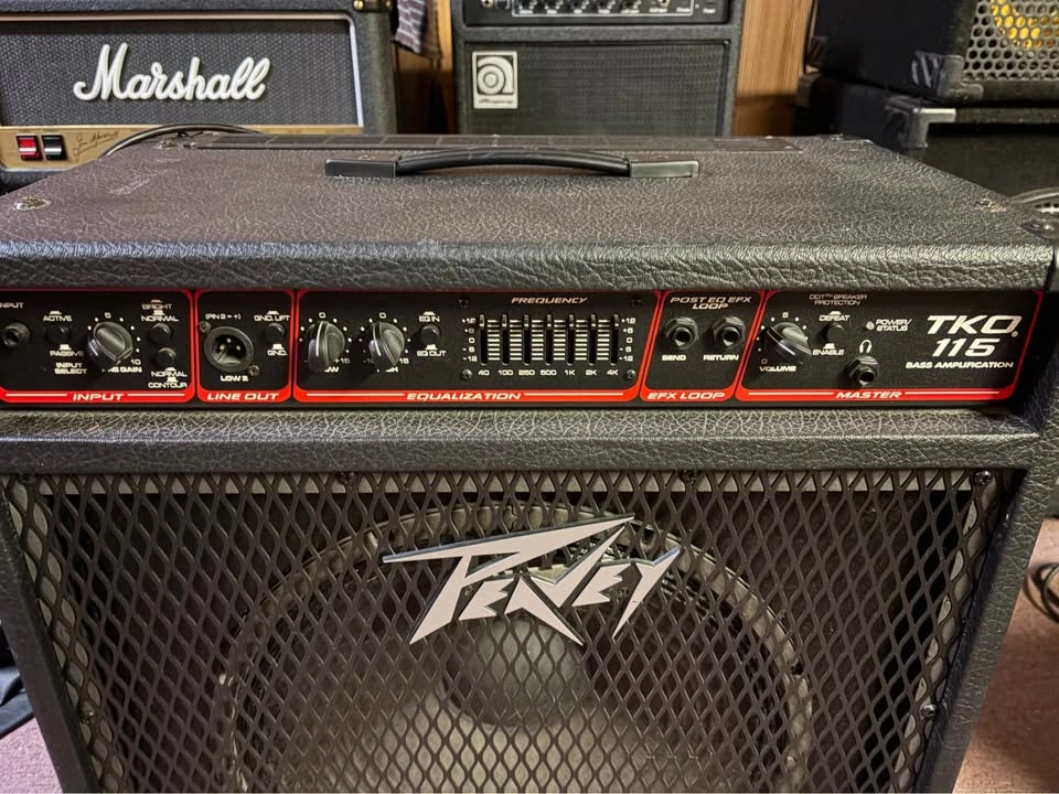 Peavey TKO 115 Bass Amp - photo 2