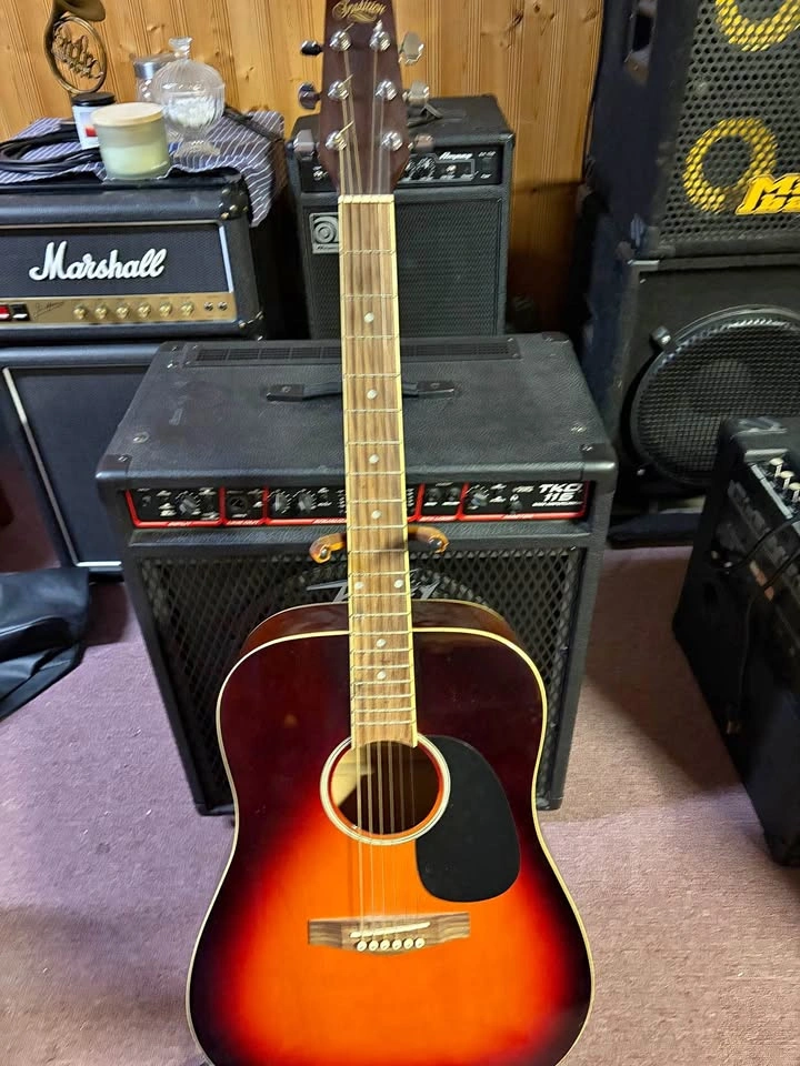 Tradition Acoustic Guitar