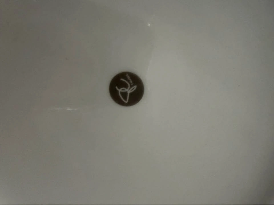 Dinner Plates - photo 4
