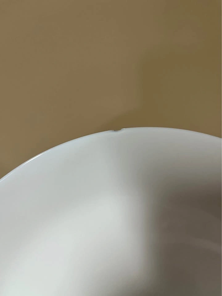 White Dinner Plates - Set of 4 - photo 3