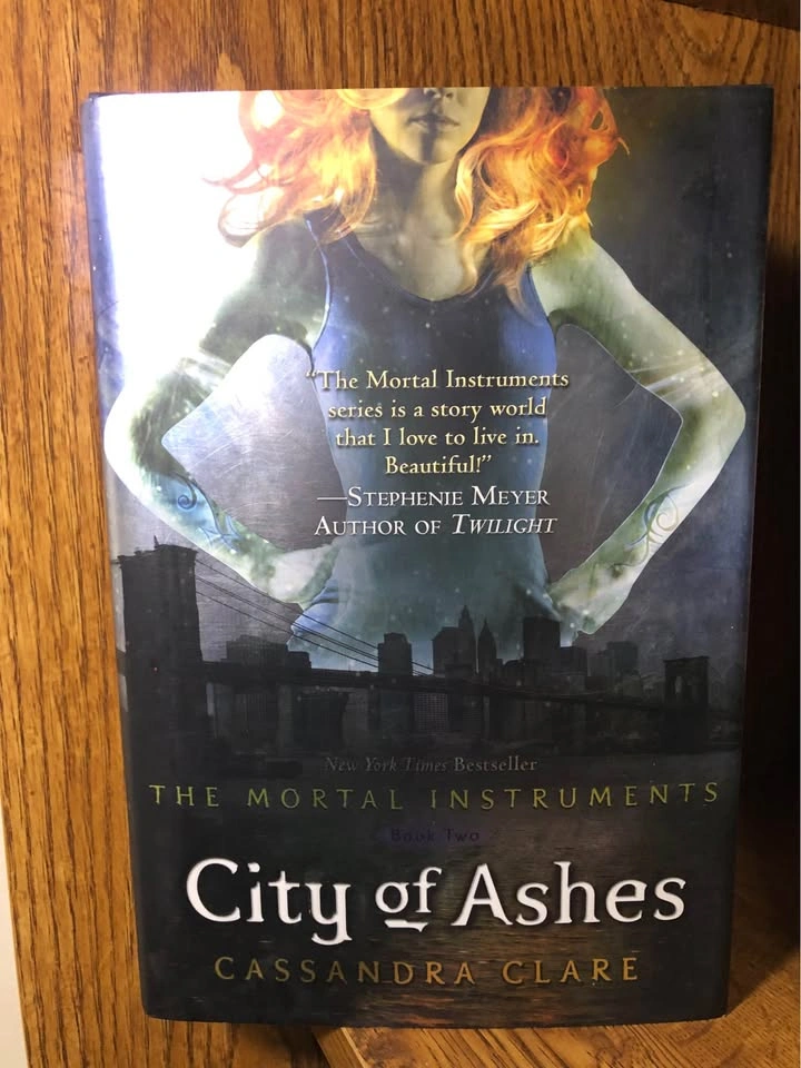 The Mortal Instruments Hardcover Books - photo 2