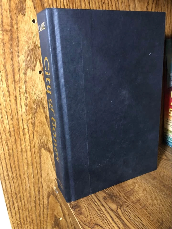 The Mortal Instruments Hardcover Books - photo 3