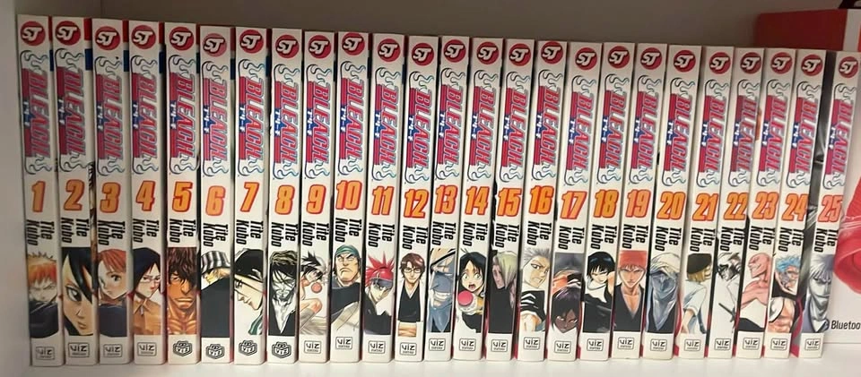 Bleach Manga