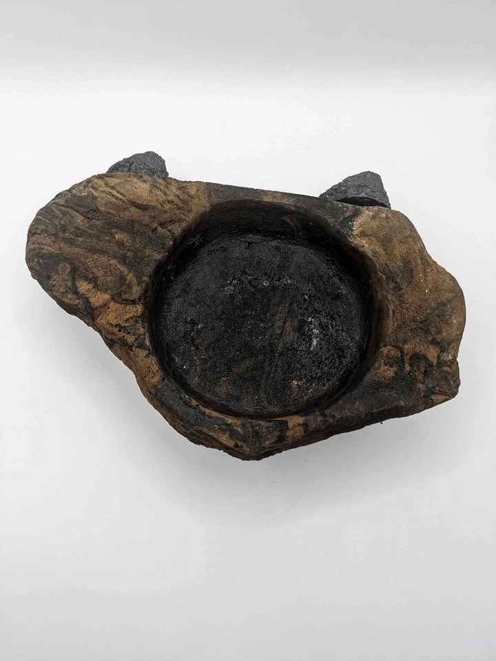 Reptile Feeding Ledge Foam Magnets