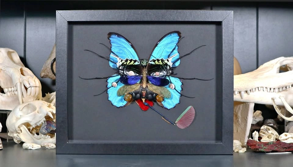 Fumar, To Smoke. Arthropod Art, Signed