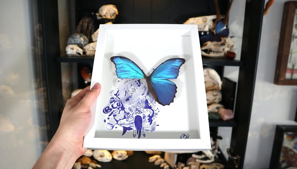 BLUE. Morpho Didius Art, Hand Drawn Signed Illustration. - photo 4