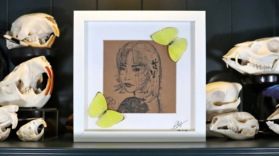 Lady in Ink. Signed Illustration with 2 real Phoebis Trite Butte