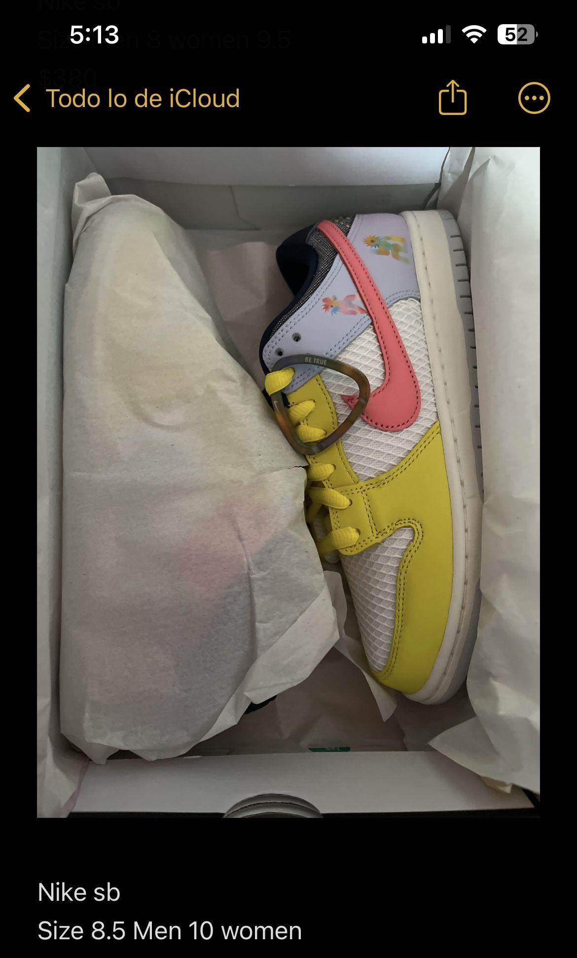 Nike SB