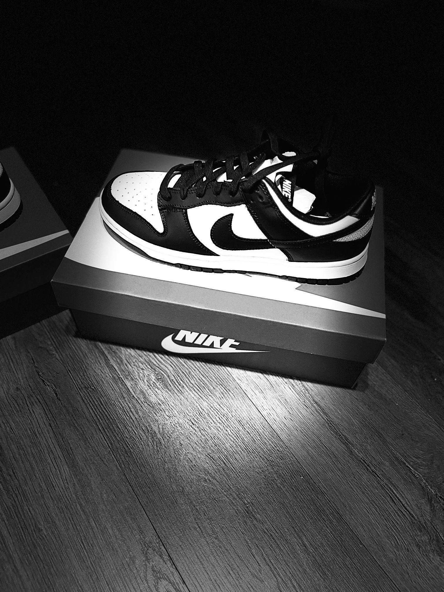 Nike Dunk Low Panda