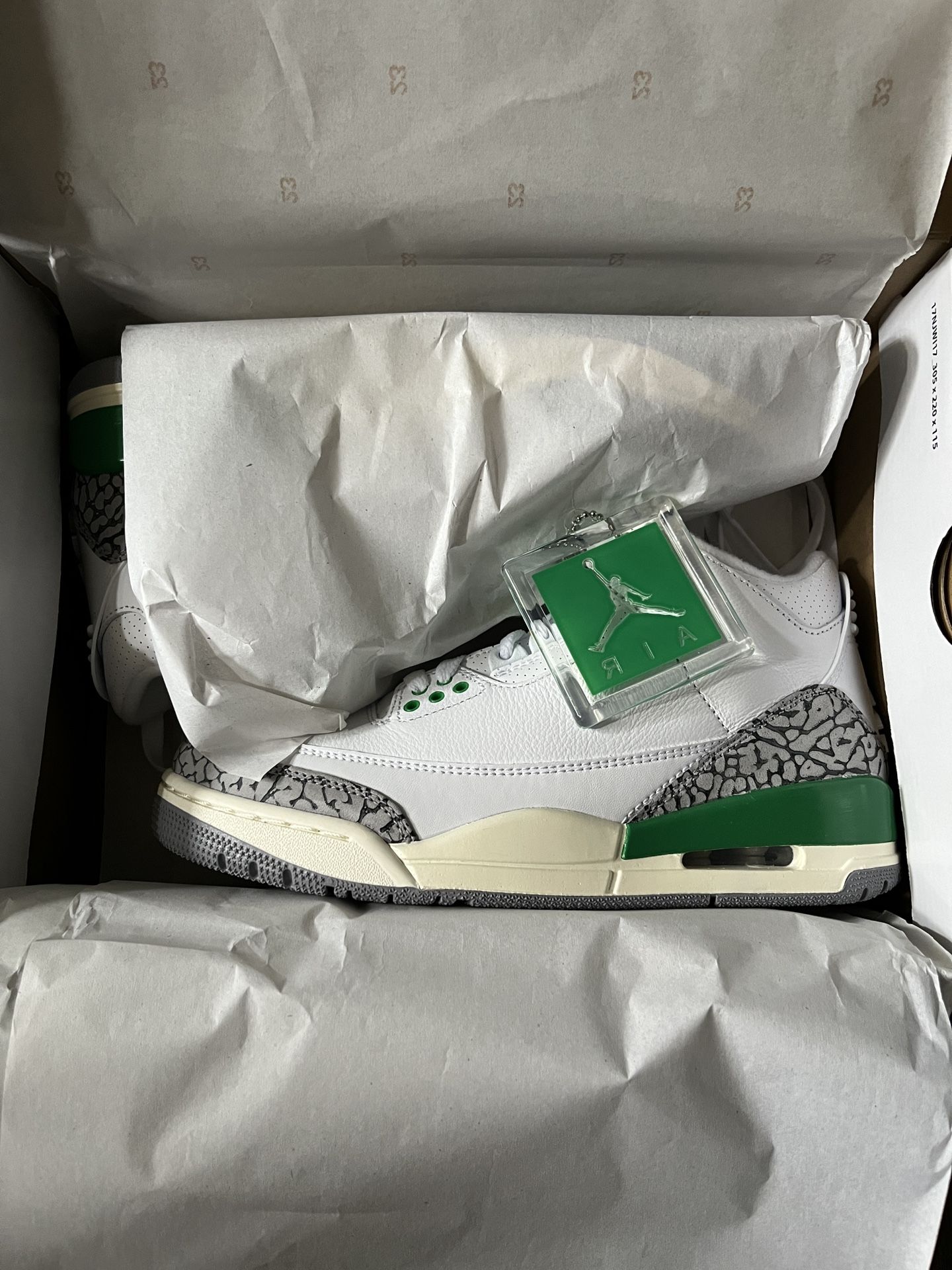 Jordan Retro 3 Green