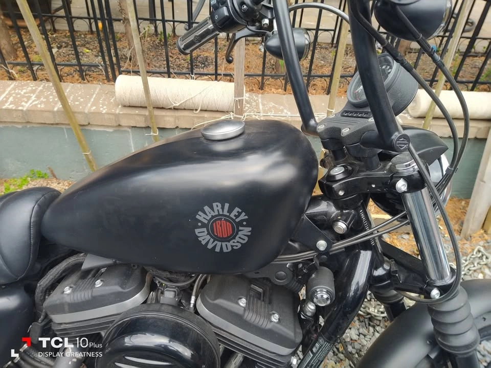 2019 Harley-Davidson XL883 Iron - photo 4