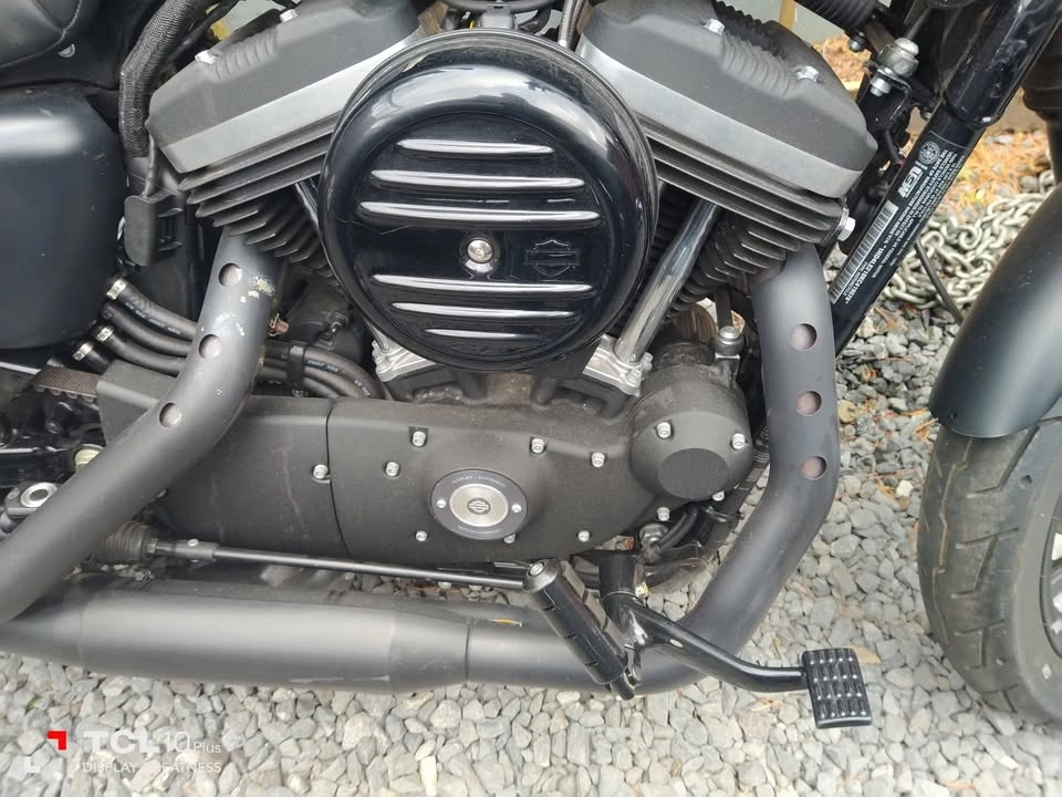 2019 Harley-Davidson XL883 Iron - photo 5