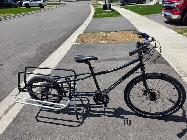 Carry 2 Kids Easily – Xtracycle Cargo Bike – Ready to Ride Today - photo 2