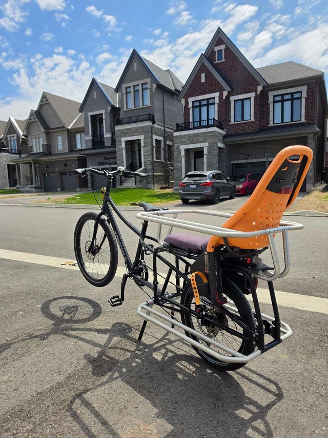 Carry 2 Kids Easily – Xtracycle Cargo Bike – Ready to Ride Today - photo 3